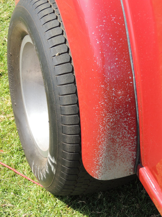 Illustration for article titled Kumeu Hot Rod and Classic Car Show